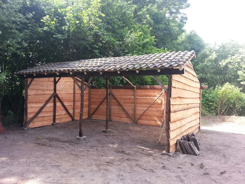 Afdak in een paardenweide met pannendak en houten schuine schoren van douglas