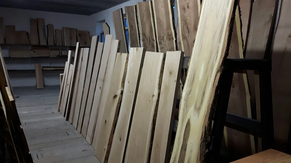 Rek met beuken boomstamplanken in de loods van houthandel CenWood