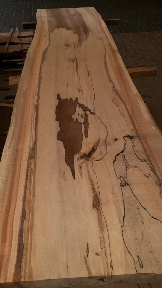 Beuken boomschorsplank met spalting en donkere tekening in het hout