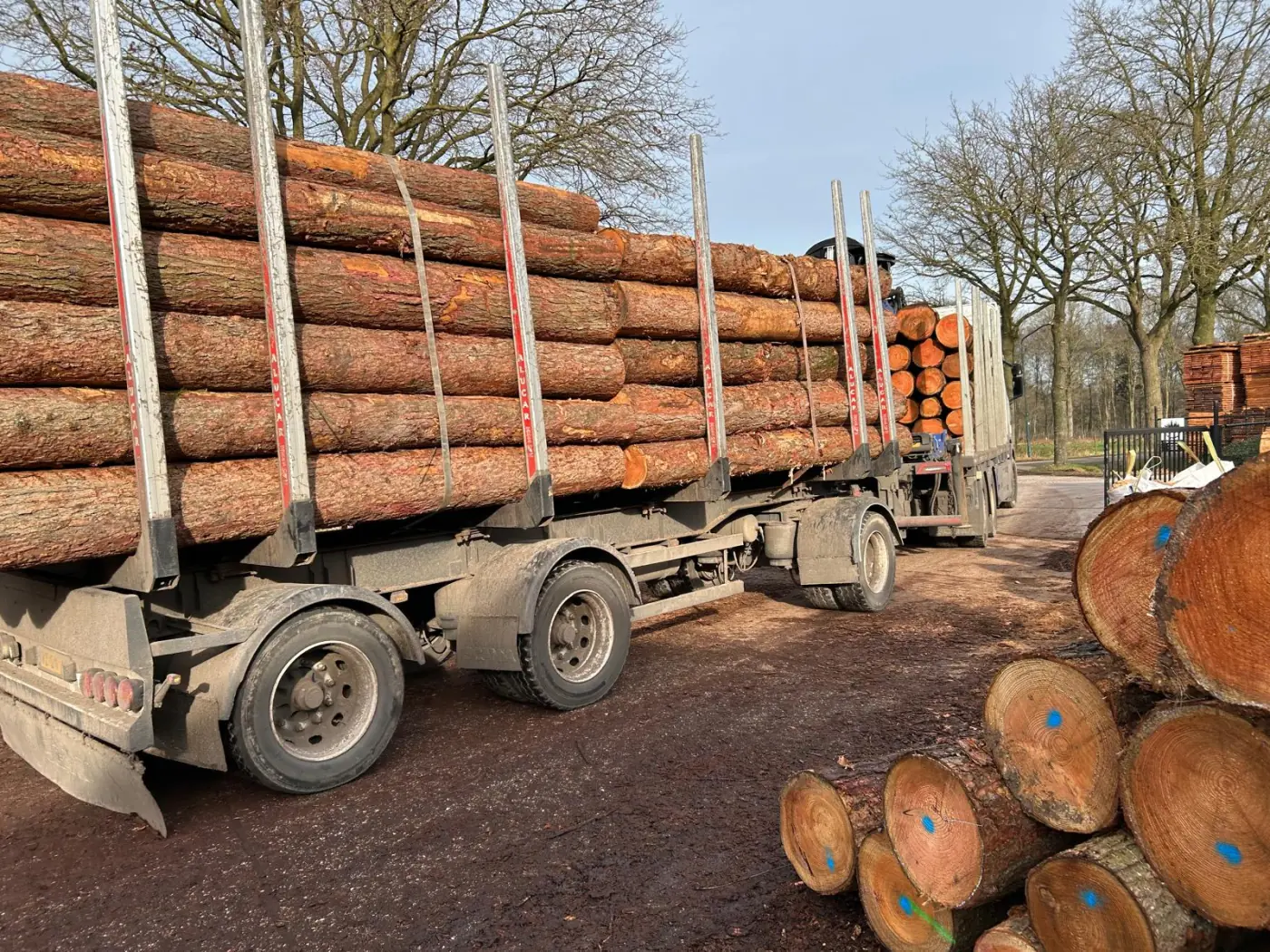 Douglas balken uit de eigen zagerij van CenWood in Gemert