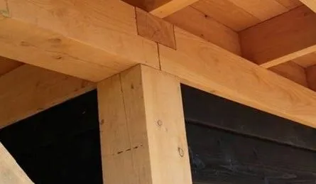 Detail van de douglas dakconstructie van een overkapping met twee dichte wanden