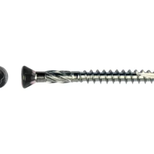 Zwarte potdekselschroef torx T25 5,0 x 60 mm RVS C2 met los kopaanzicht